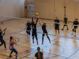 Zimný volejbalový turnaj, 8.2.2025 (autor: J. Letenay)